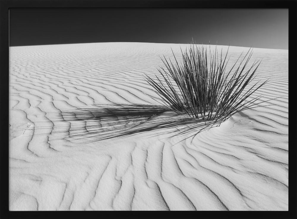 WHITE SANDS Idyllic scenery | Monochrome Poster