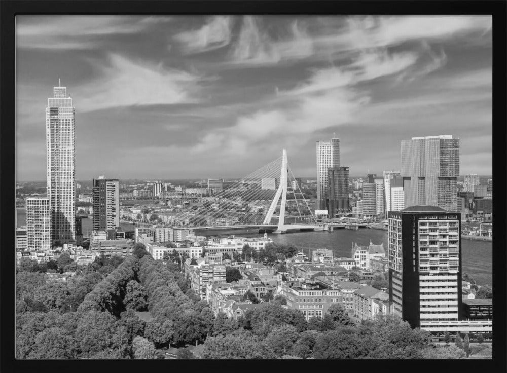 Unique Rotterdam panorama seen from the Euromast | Monochrome Poster