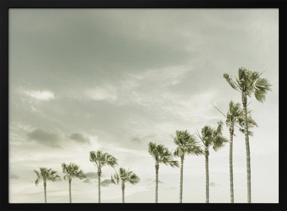 Vintage Palm Trees at the beach Poster