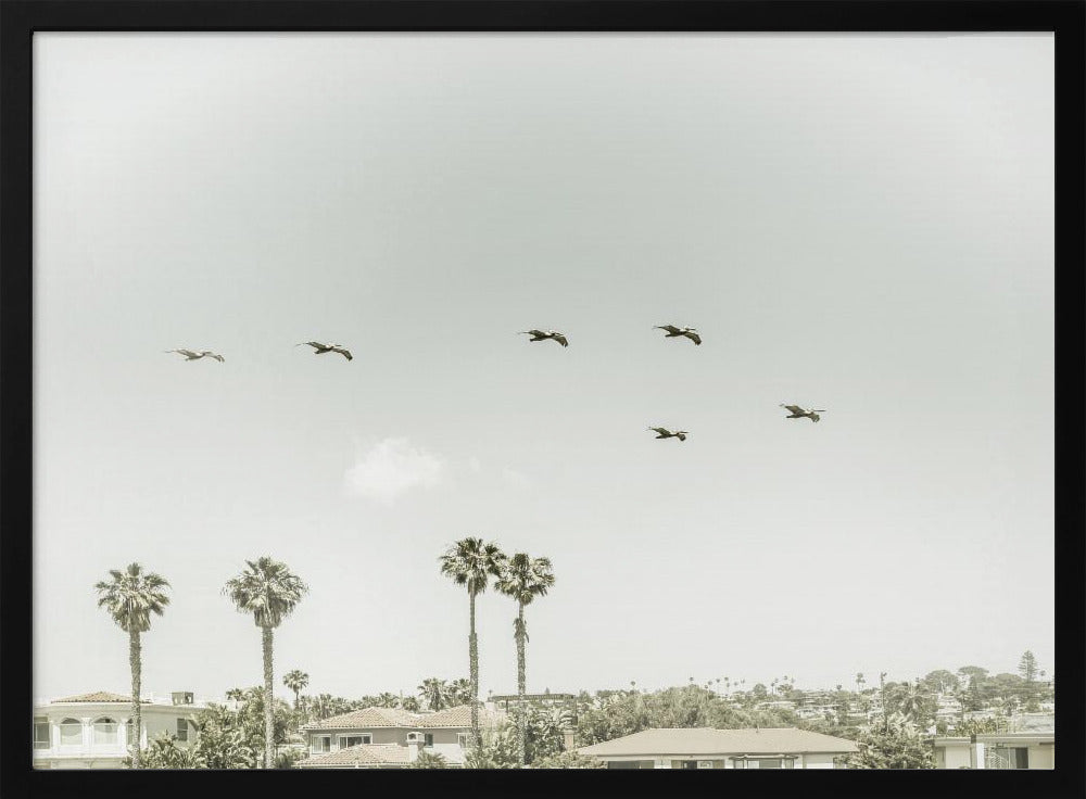 Above the rooftops of San Diego Poster