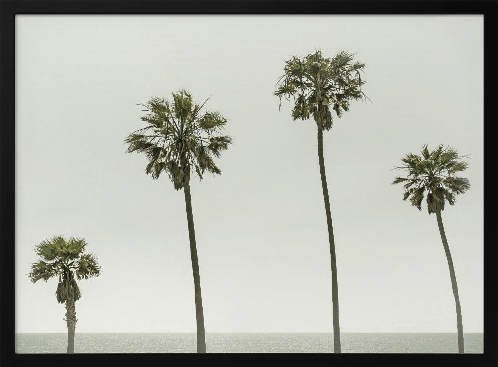 Vintage Palm Trees by the sea Poster