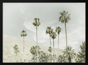 Palm Trees in the desert | Vintage Poster