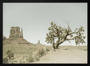 MONUMENT VALLEY Vintage West Mitten Butte and Tree Poster