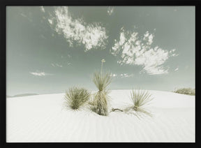 WHITE SANDS Vintage Poster