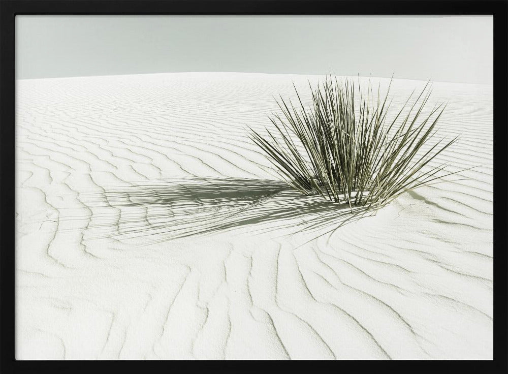 WHITE SANDS Vintage Dune Poster