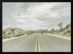 Vintage Joshua Trees, Park Boulevard Poster