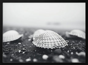 Monochromebeachimpressionsno1 Poster