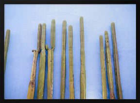 Tall Cacti on Blue | Oaxaca Mexico Travel Poster