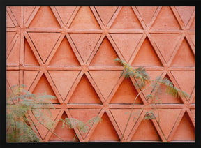 Coral details of Oaxacan Architecture in Mexico Poster