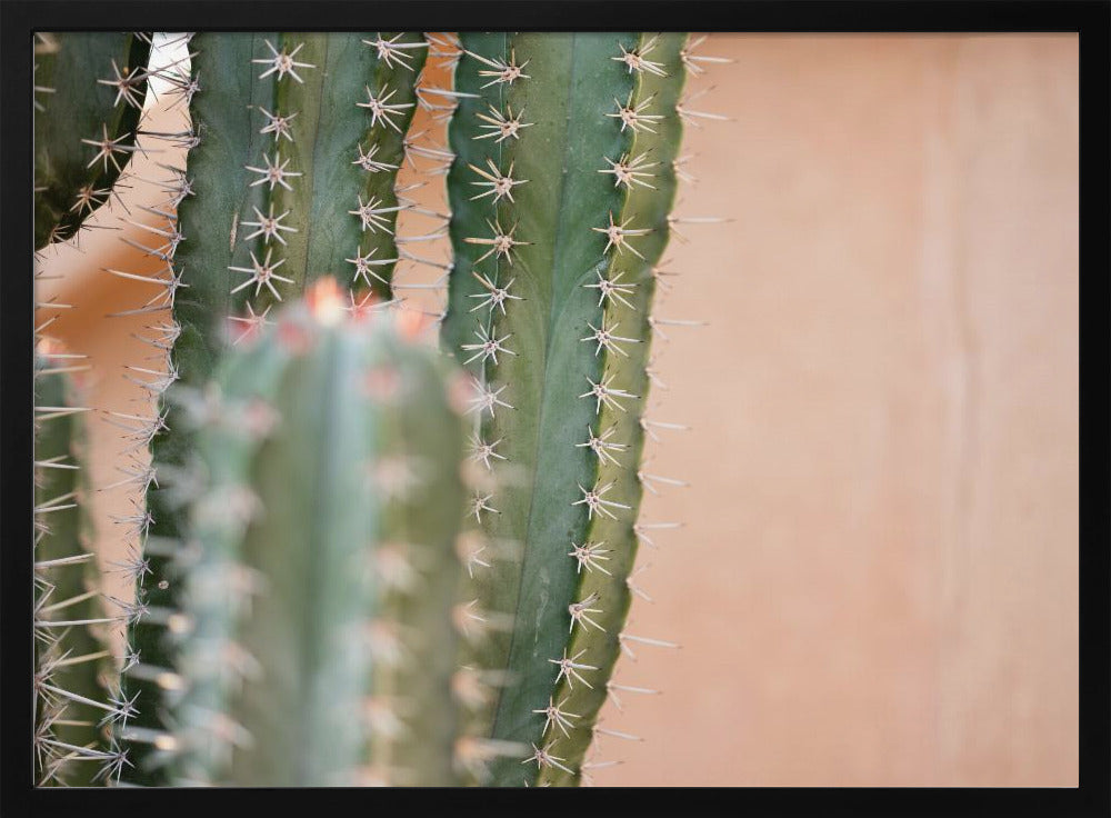 Botanical Pastel Marrakech Poster