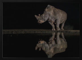 Rhino at the Night Poster