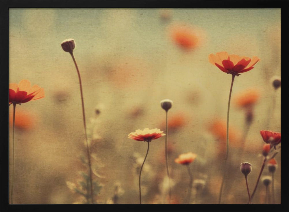 Nostalgic nature no 22 Poster