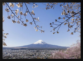 Fantastic view of Mount Fuji with cherry blossoms Poster