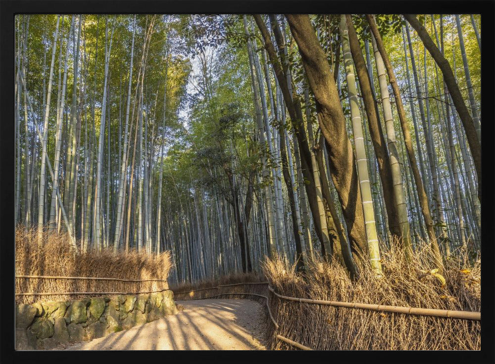 Impressive Arashiyama Bamboo Forest Poster