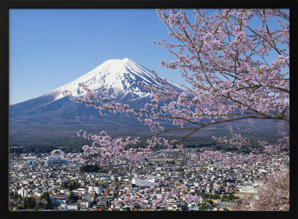 Picturesque view of Mount Fuji during cherry blossom season Poster