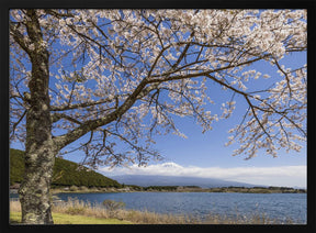 Picturesque Lake Tanuki with Mount Fuji Poster