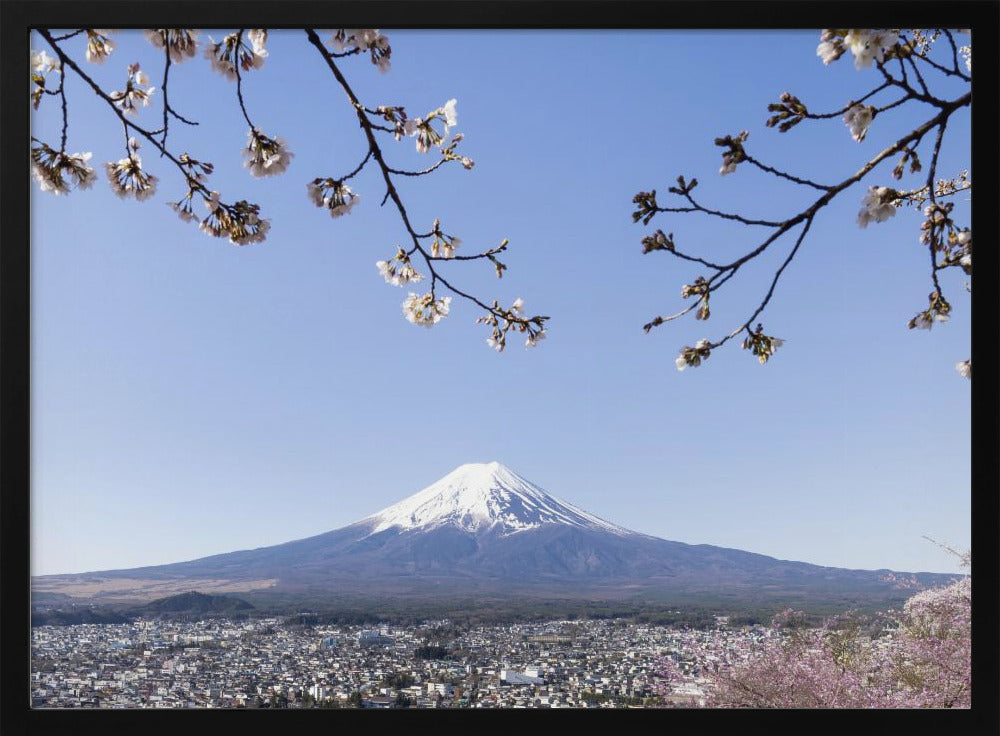 Fantastic panoramic view of Mount Fuji with cherry blossoms Poster