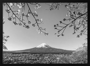 Fantastic view of Mount Fuji with cherry blossoms - monochrome Poster