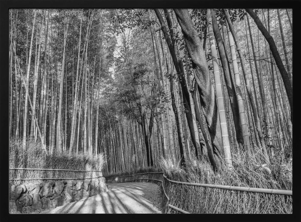 Impressive Arashiyama Bamboo Forest - monochrome Poster