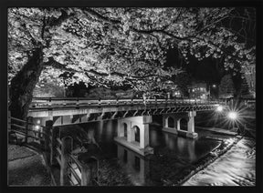 Picturesque Nakabashi Bridge in the evening - monochrome Poster