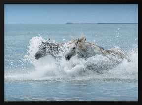 In the embrace of the sea Poster