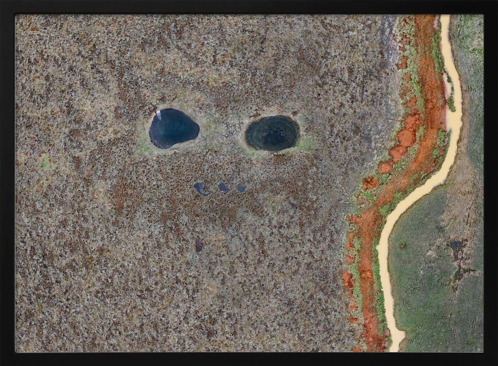 Face of the Swamp Poster