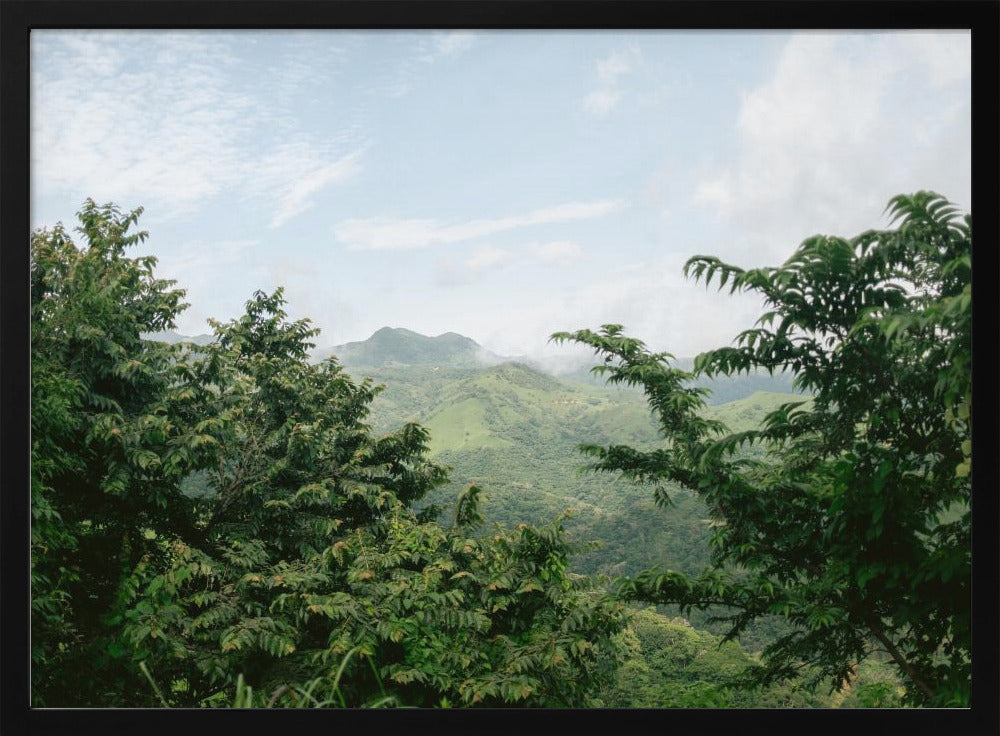 Greens of Monteverde Costa Rica Poster