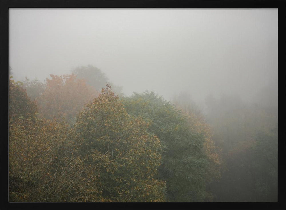 Foggy Autumn Forest Poster