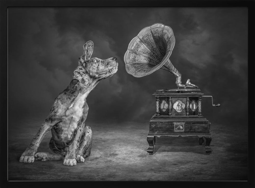 MusicDog-BW Poster