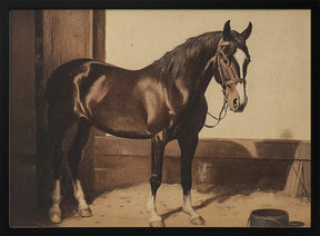 Dark Brown Horse Poster