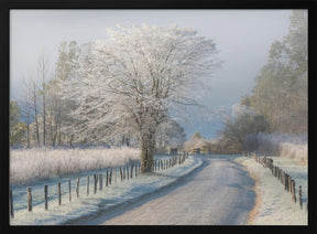 A Frosty Morning Poster