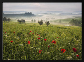 Tuscan spring Poster