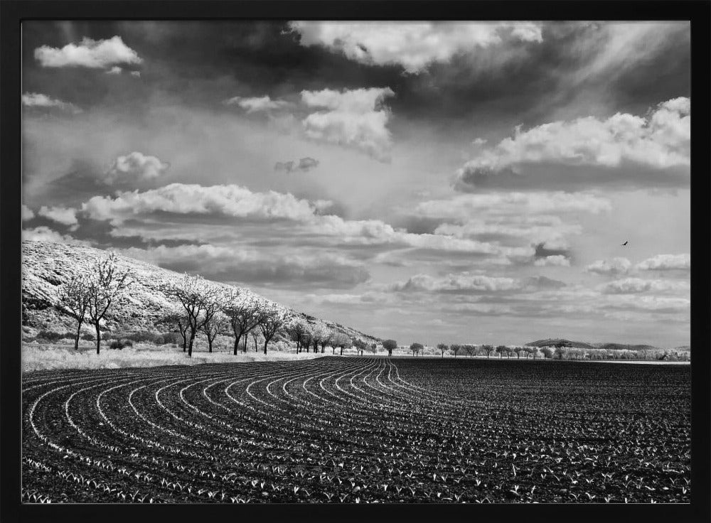 Bio athletic stadium Poster