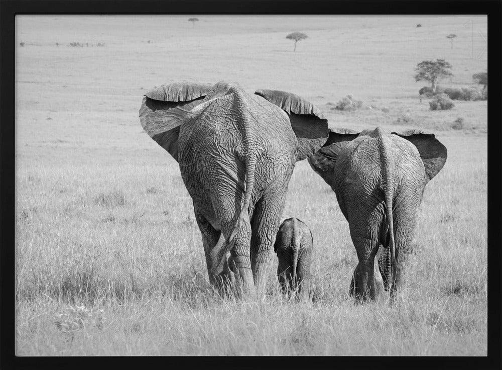 Three Butts! Poster