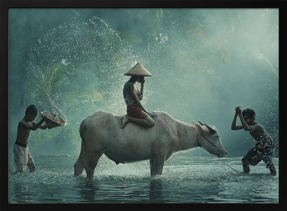 Water Buffalo Poster