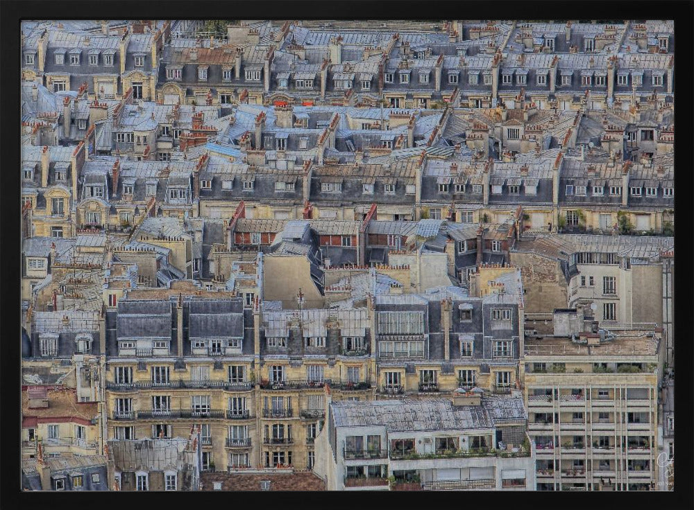 Parisian roofs Poster