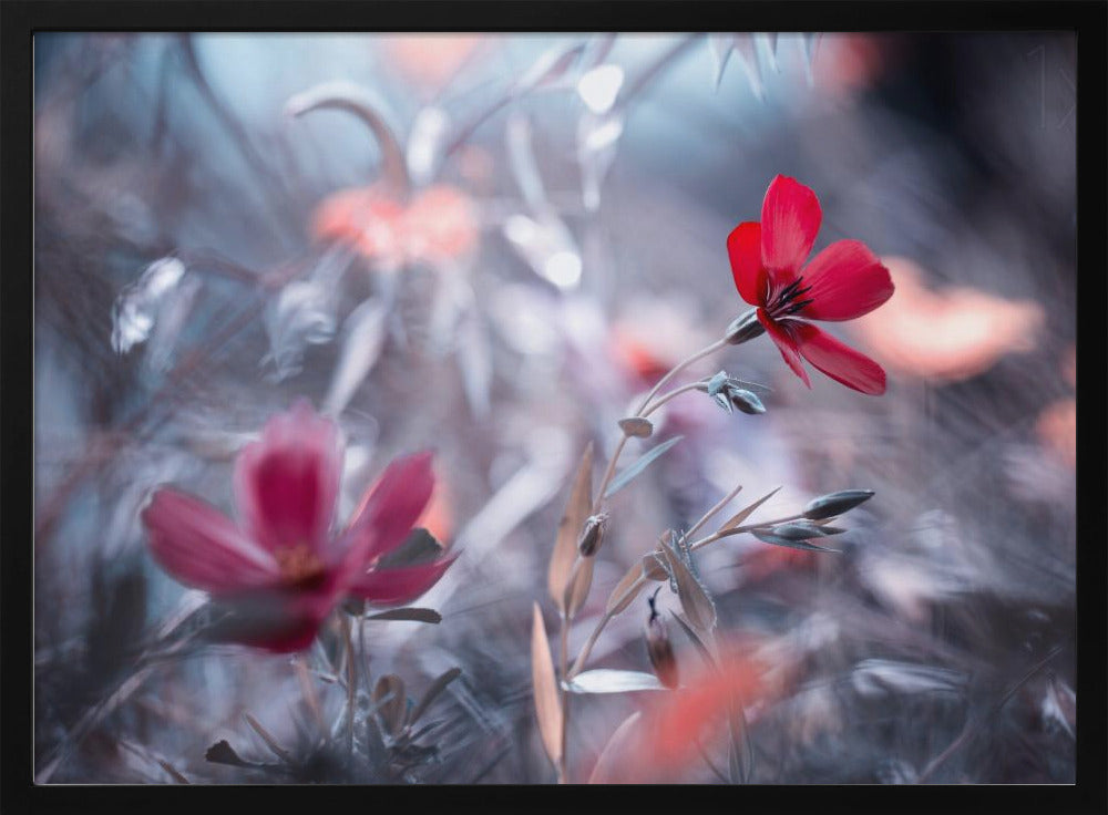 Une Fleur, une Histoire Poster