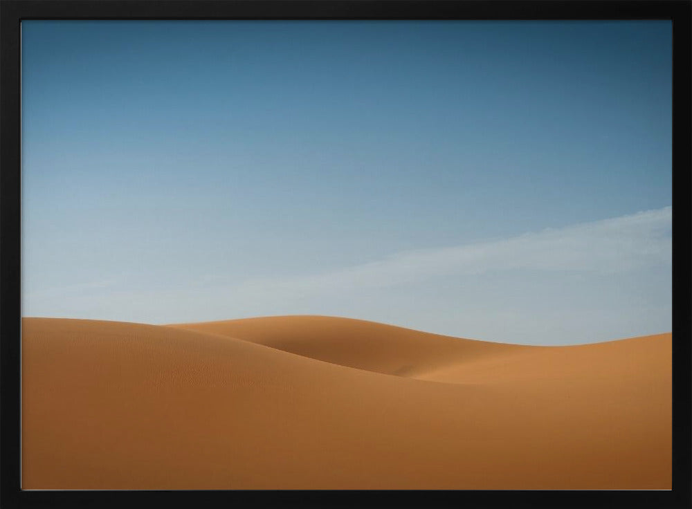 Sensual desert Poster