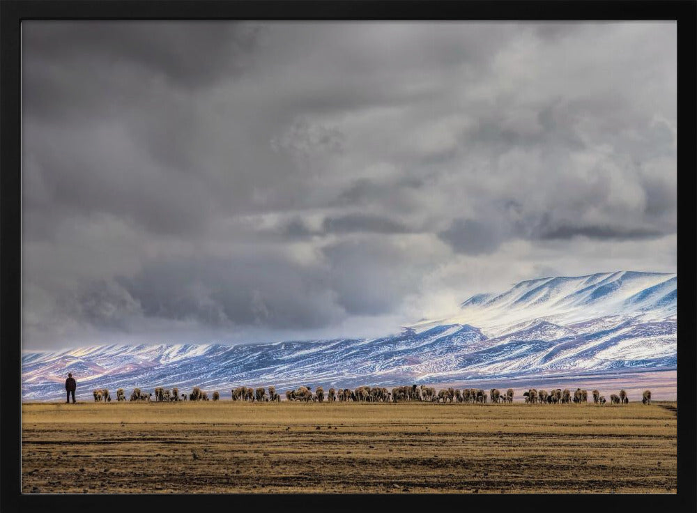 At the foot of the Tianshan Mountains Poster