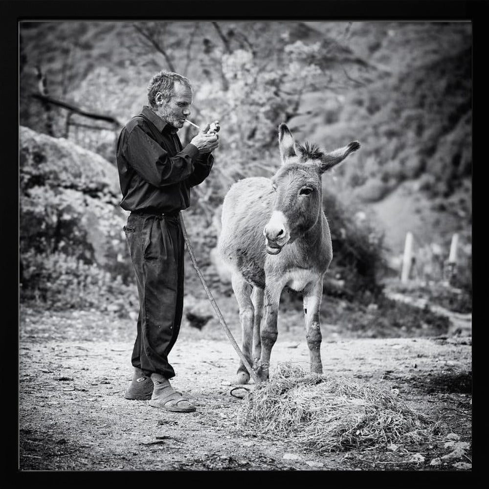 Vova and his donkey Poster