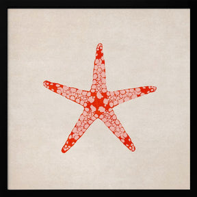 Sea Star Poster