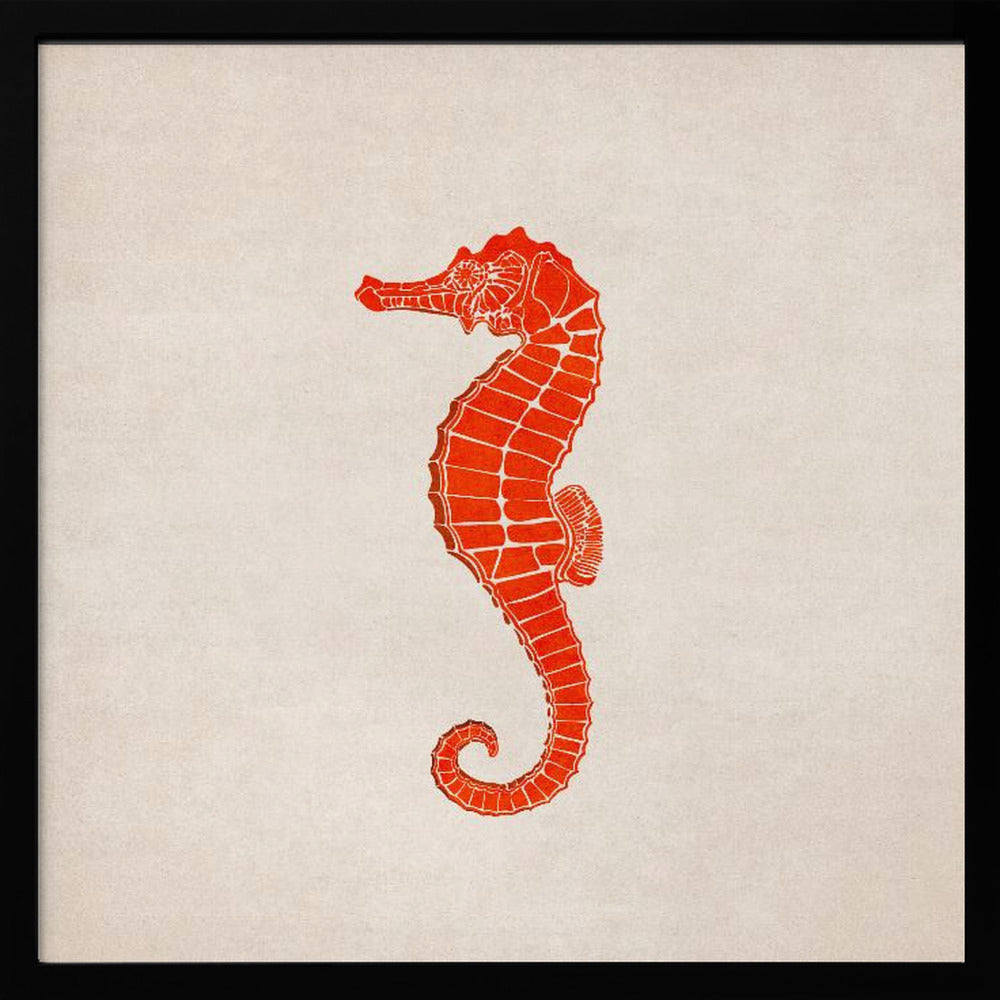 Sea Horse Poster