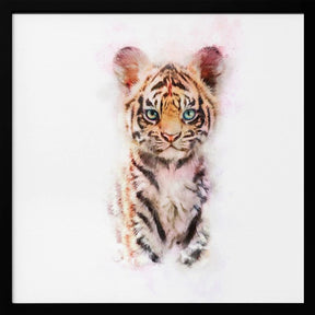 Baby Tiger Poster