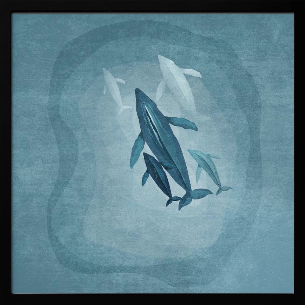 Whalesfamily Poster