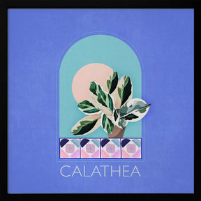 Green Sets Calathea Poster