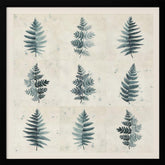 Nine ferns collage Poster