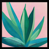 Colorful Agave 4 Poster