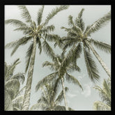 Lovely Vintage Palm Trees Poster