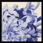 Chrysanthemum Poster