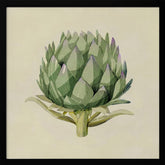 Artichoke Poster